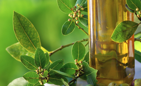 Оливковое масло: незаменимый ингредиент в приготовлении блюд