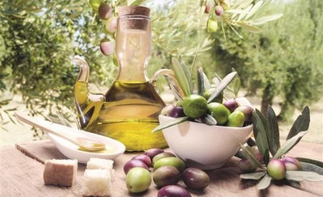 Свойства, изготовление и применение масел из оливок