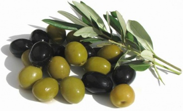 Как растут оливки?