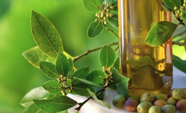 Производство и сбыт оливковых масел