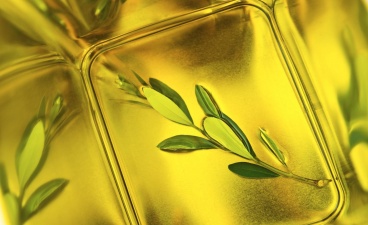 Чем полезно оливковое масло?