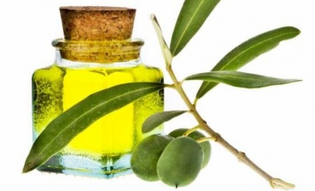 Как получают оливковое масло?