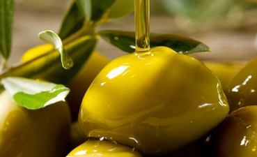 Масло оливковое: поставщики «жидкого золота»