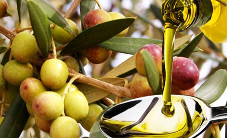 Оливковое масло: косметические свойства