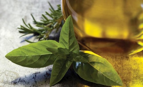 Как лечиться оливковым маслом?